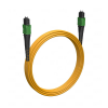 Cabeus FOP-9-12-MPO(M)-12-MPO(M)-B-2m Кабельная сборка MPO(M) -MPO(M)-12 волокон 9/125 OS2
