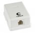 Фотография товара 'Cabeus Розетка телефонная RJ-12 WS-6P4C-TEL-1'
